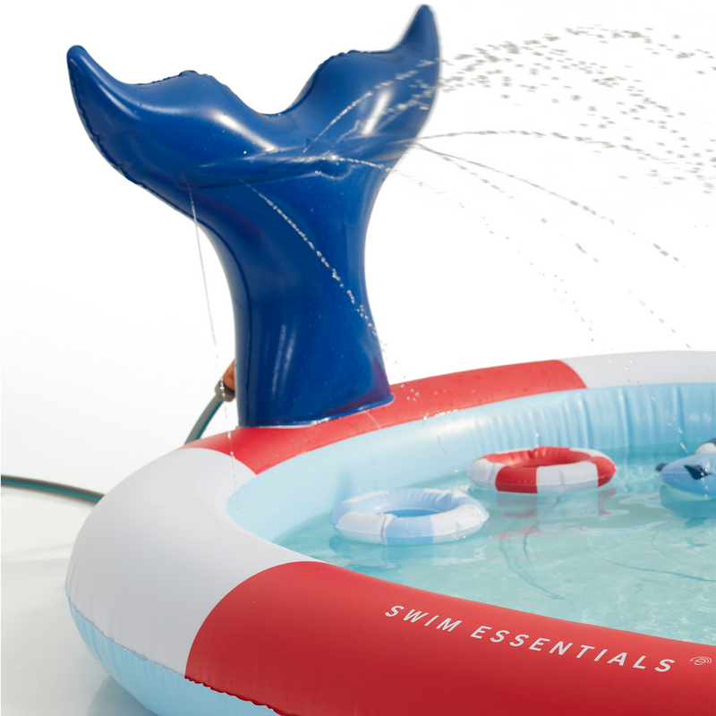 Adventure Pool Whale Striped